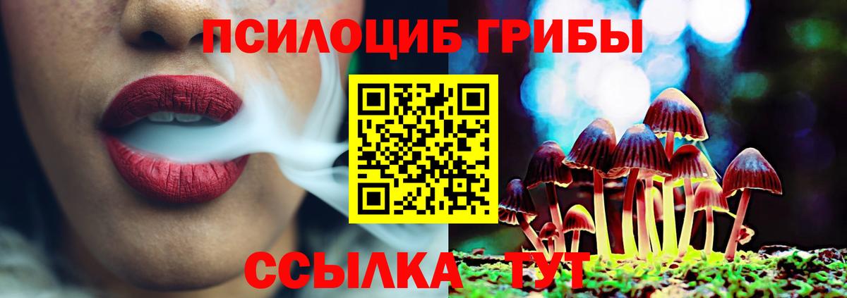 Костомукша  Галлюциногенные грибы мухоморы  Вход с VPN 